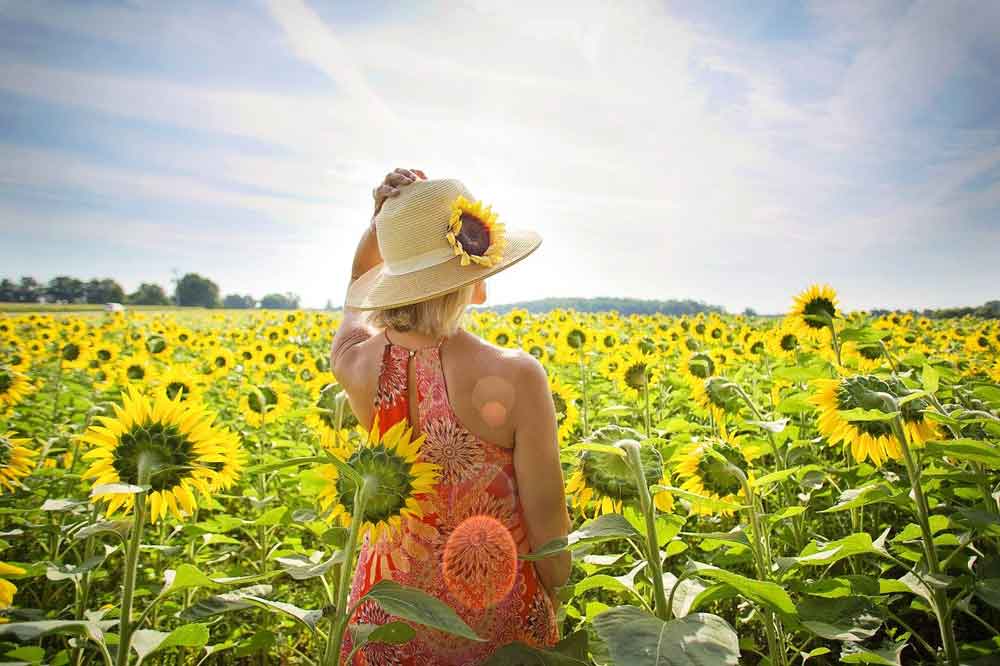 How To Get Started With Gardening: A Step-By-Step Guide